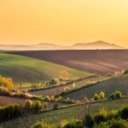 Relaxing Forest Escape With Bbq * Kyjov (Usti nad Labem)