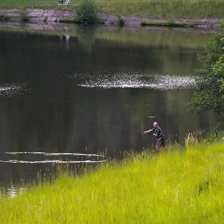 Relaxing Forest Escape With Bbq *