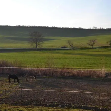 Chalet Relaxing Forest Escape With Bbq *