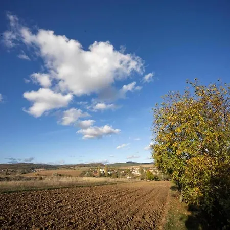 Relaxing Forest Escape With Bbq Kyjov (Usti nad Labem)