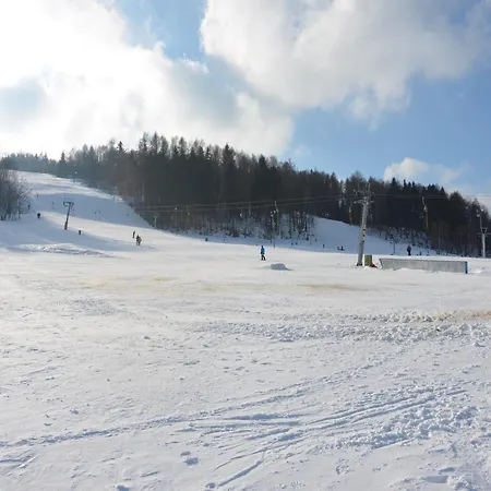 Relaxing Forest Escape With Bbq