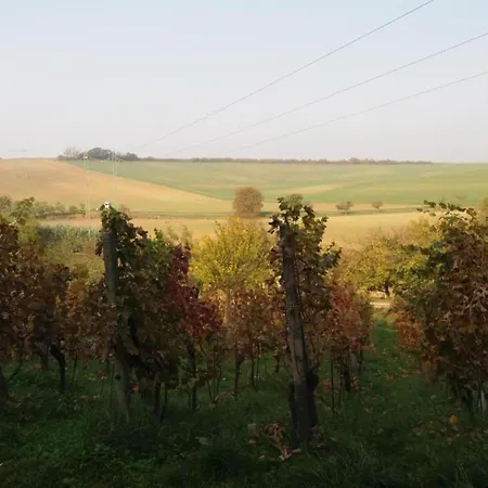 Relaxing Forest Escape With Bbq Chalet Kyjov (Usti nad Labem)