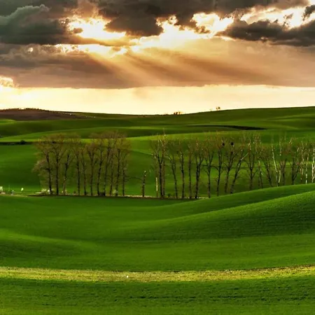 Relaxing Forest Escape With Bbq Kyjov (Usti nad Labem)