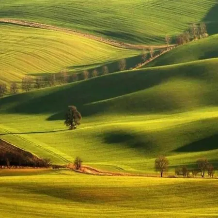 Chalet Relaxing Forest Escape With Bbq *