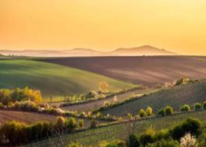 Relaxing Forest Escape With Bbq * Kyjov (Usti nad Labem)