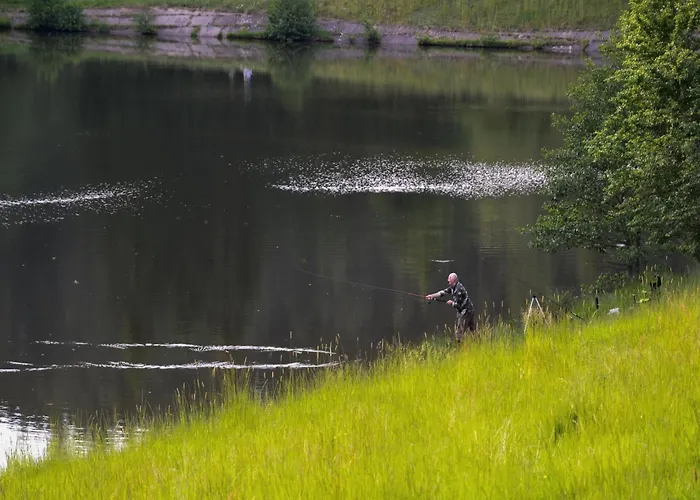 Relaxing Forest Escape With Bbq *