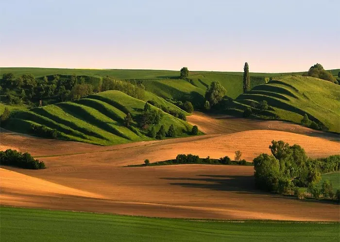 Chalet Relaxing Forest Escape With Bbq