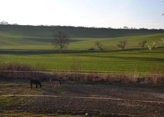 Chalet Relaxing Forest Escape With Bbq *