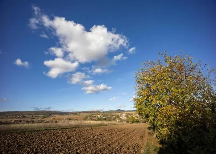 Relaxing Forest Escape With Bbq Kyjov (Usti nad Labem)