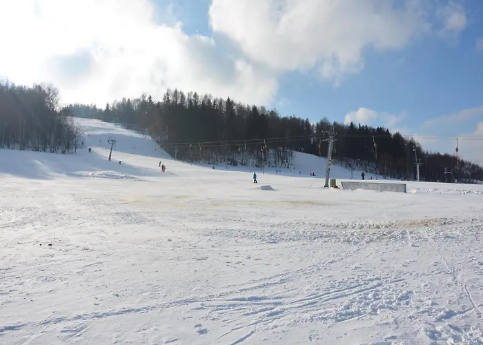 Relaxing Forest Escape With Bbq