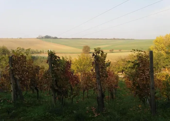 Relaxing Forest Escape With Bbq Chalet Kyjov (Usti nad Labem)
