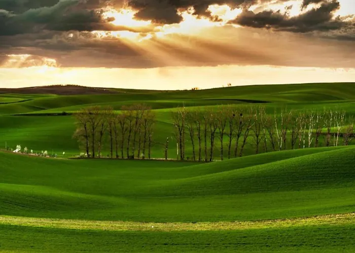 Relaxing Forest Escape With Bbq Kyjov (Usti nad Labem)