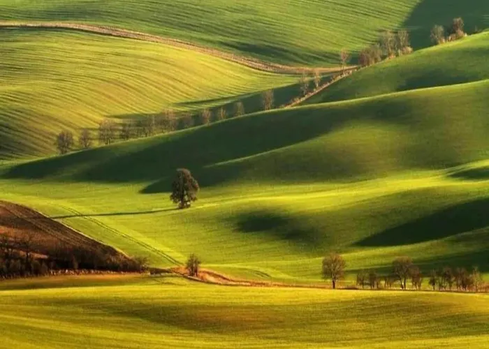 Chalet Relaxing Forest Escape With Bbq *